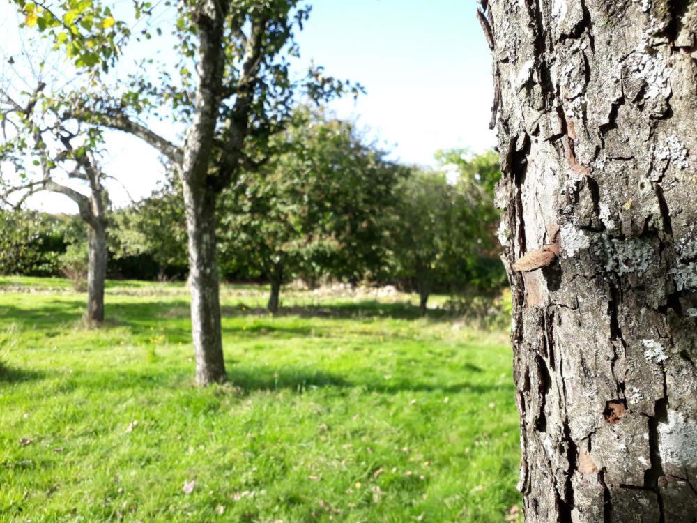 Terre de rêveries Maisoncelles-la-Jourdan Extérieur photo